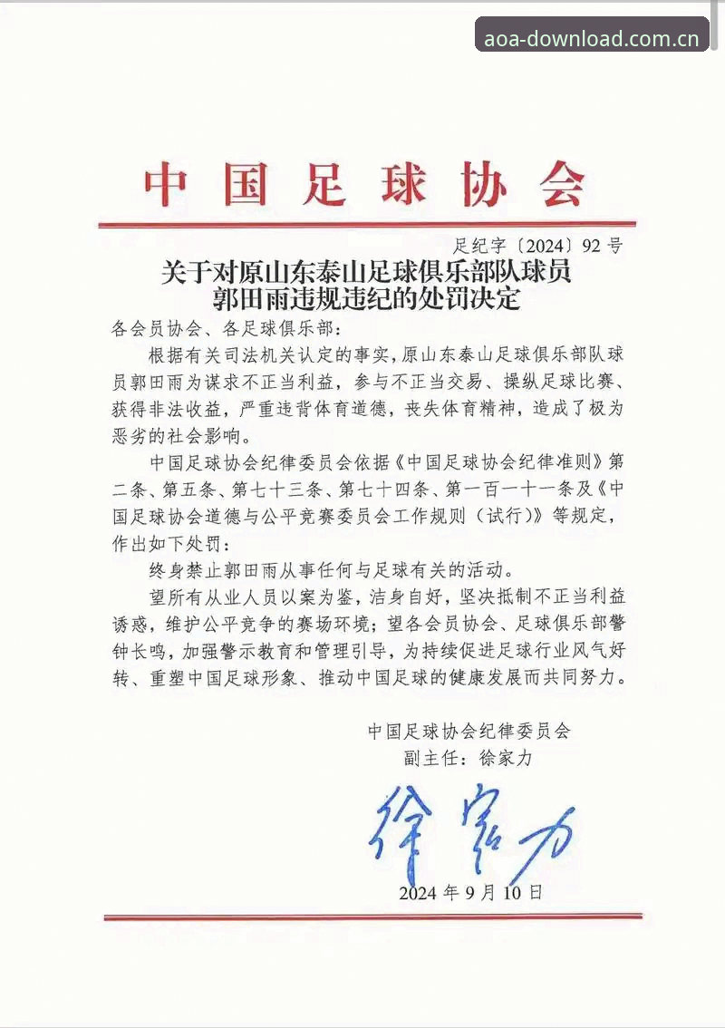 足协第三批禁足名单详解：65人受罚，终身禁赛17人